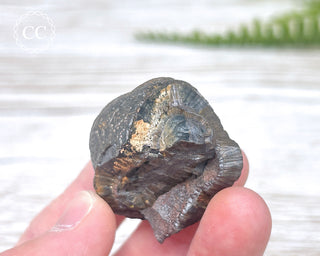 Botryoidal Hematite Specimen #3