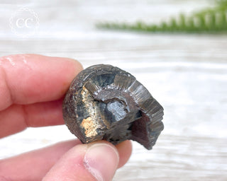 Botryoidal Hematite Specimen #3