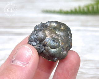 Botryoidal Hematite Specimen #4