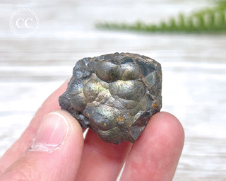 Botryoidal Hematite Specimen #4