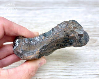Botryoidal Hematite Specimen #3