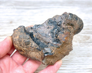 Botryoidal Hematite Specimen #3