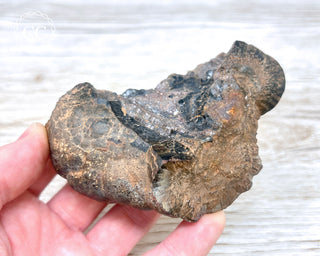 Botryoidal Hematite Specimen #3