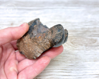 Botryoidal Hematite Specimen #3