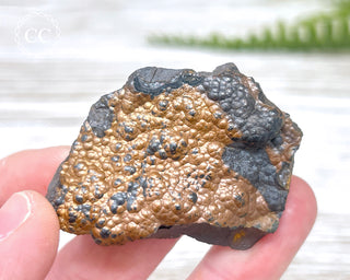 Botryoidal Hematite Specimen #1