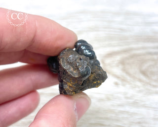 Botryoidal Hematite Specimen #1