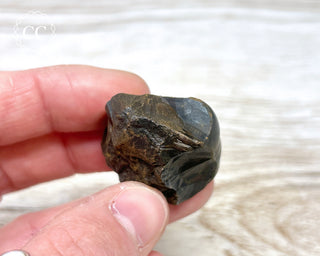 Botryoidal Hematite Specimen #2