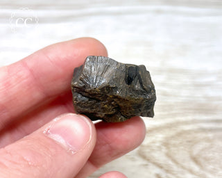 Botryoidal Hematite Specimen #2