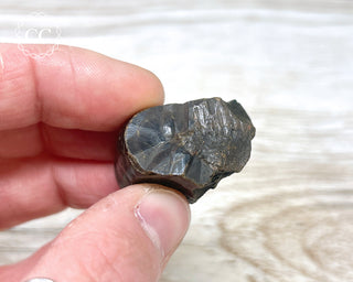 Botryoidal Hematite Specimen #2