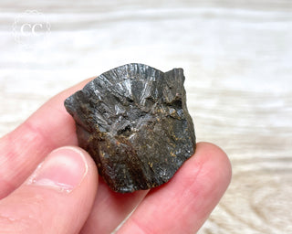 Botryoidal Hematite Specimen #3