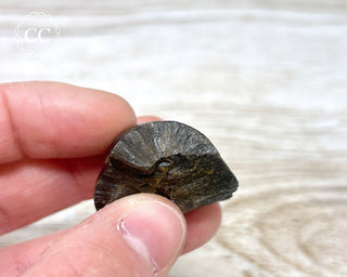 Botryoidal Hematite Specimen #3