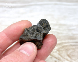 Botryoidal Hematite Specimen #5