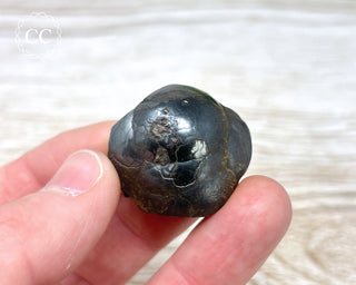 Botryoidal Hematite Specimen #7