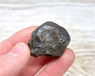Botryoidal Hematite Specimen #7
