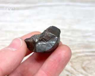 Botryoidal Hematite Specimen #7