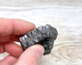 Botryoidal Hematite Specimen #8