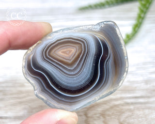 Botswana Agate Slice #1