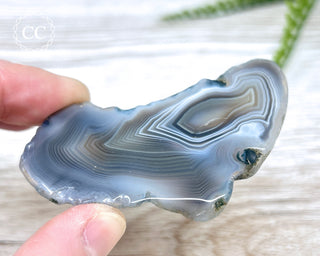 Botswana Agate Slice #2