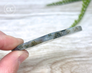Botswana Agate Slice #2