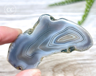Botswana Agate Slice #2