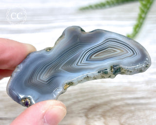 Botswana Agate Slice #2