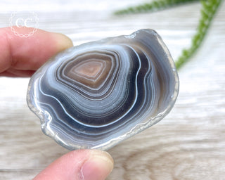 Botswana Agate Slice #1