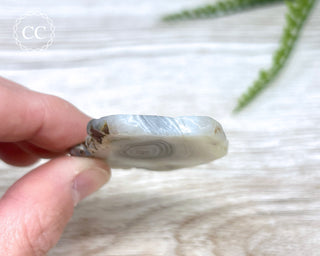 Botswana Agate Slice #3