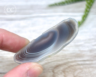 Botswana Agate Slice #4