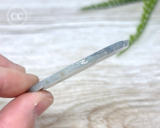 Botswana Agate Slice #4