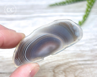 Botswana Agate Slice #4
