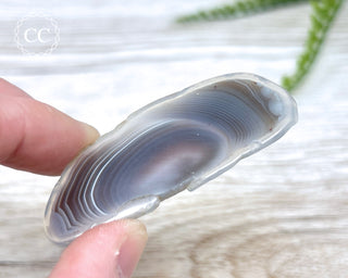 Botswana Agate Slice #4
