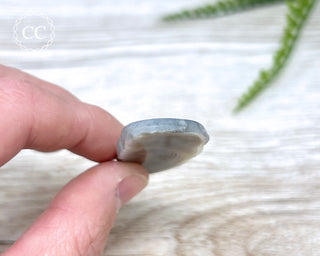 Botswana Agate Slice #4