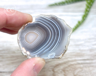 Botswana Agate Slice #5