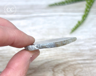 Botswana Agate Slice #5