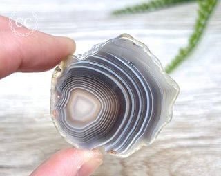 Botswana Agate Slice #5