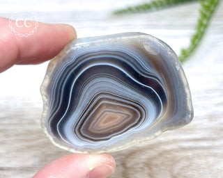 Botswana Agate Slice #1