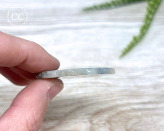 Botswana Agate Slice #5