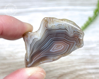 Botswana Agate Slice #6