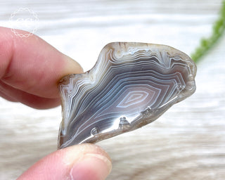 Botswana Agate Slice #6