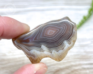 Botswana Agate Slice #6