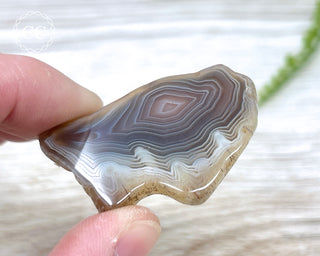 Botswana Agate Slice #6