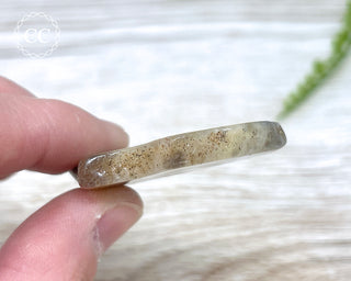 Botswana Agate Slice #6