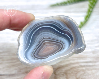 Botswana Agate Slice #1