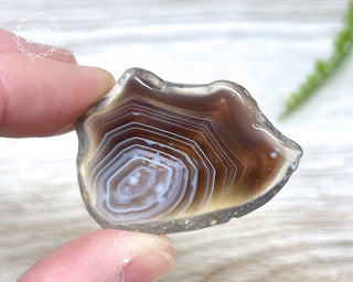 Botswana Agate Slice #7