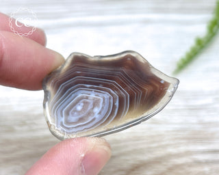 Botswana Agate Slice #7