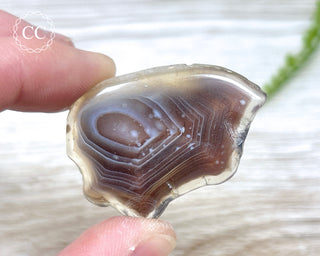 Botswana Agate Slice #7