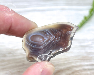 Botswana Agate Slice #7