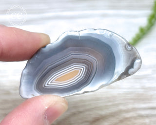 Botswana Agate Slice #8