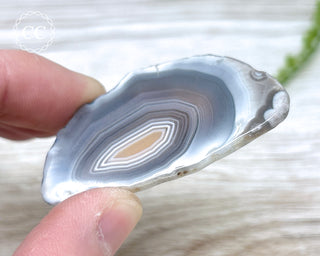 Botswana Agate Slice #8