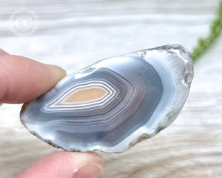 Botswana Agate Slice #8